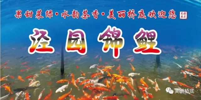 一寺一校一画院——石桥中学新生记！