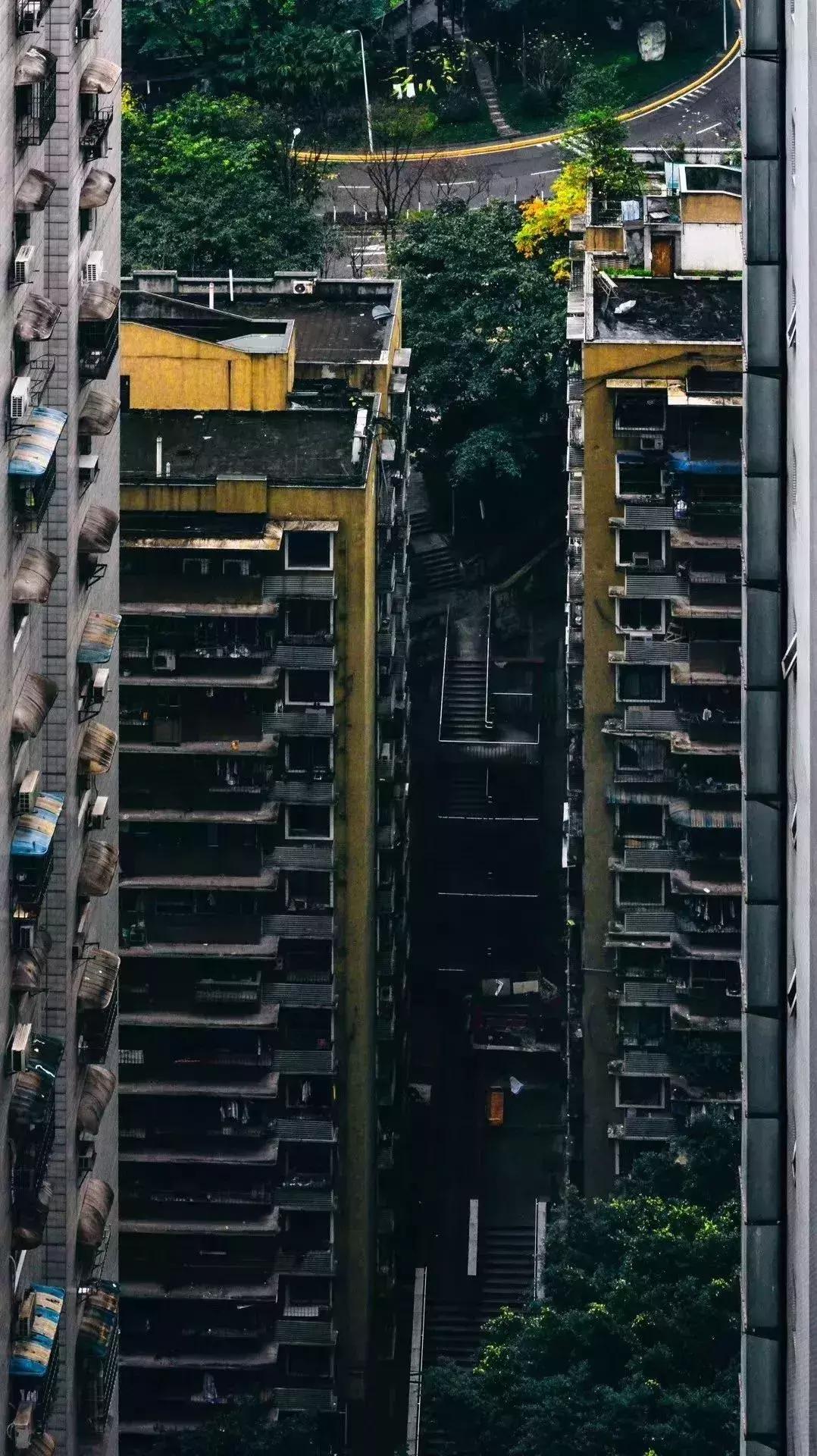 重庆网红vs其他城市网红,重庆成网红