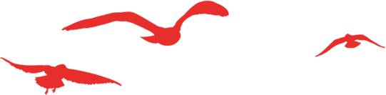 大美凤泉，出彩凤泉！