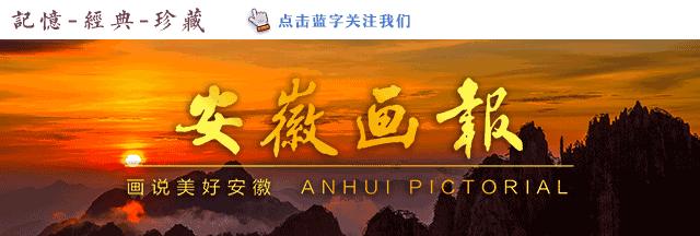 扬子集团董事长宣中光,扬子集团创始人宣中光哪里人