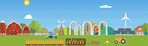 没错！wuli崇明人白露就是要吃鸡的~