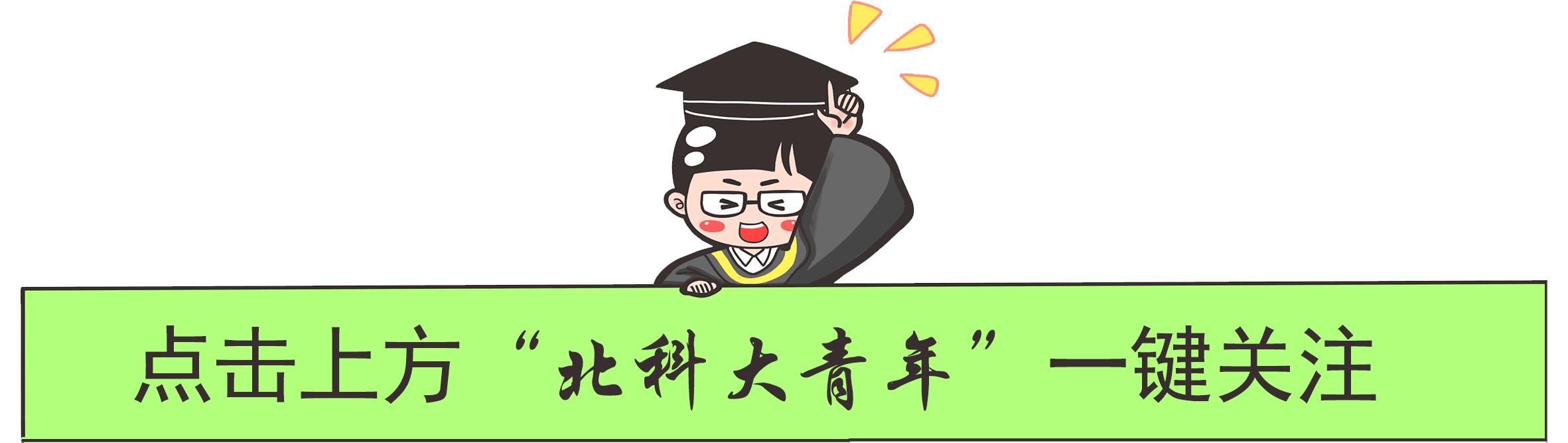 我和我的专业相爱相杀的每一天