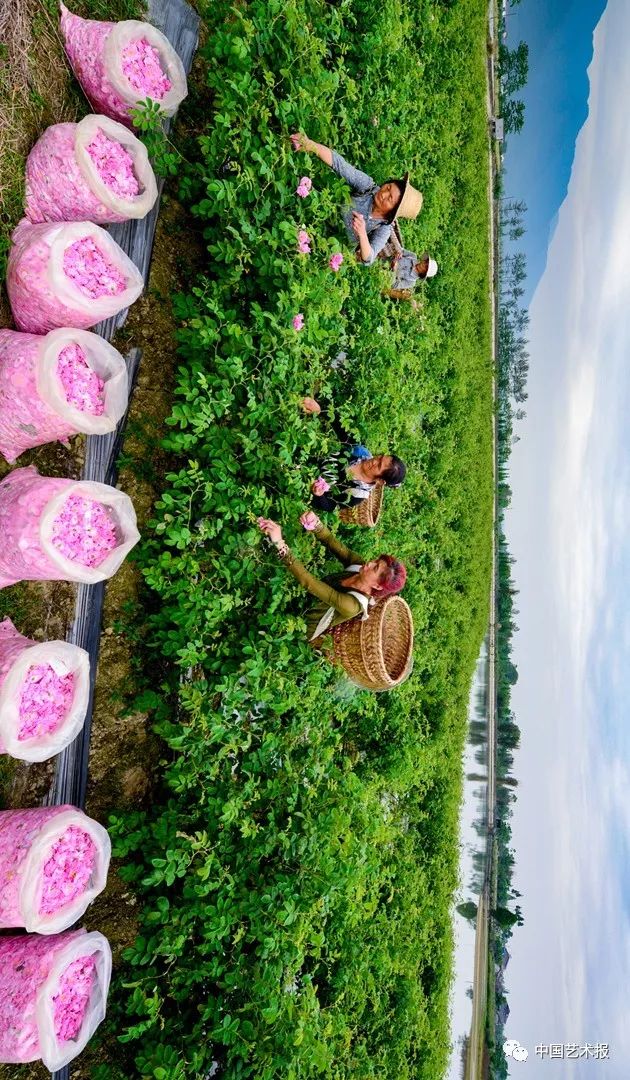 汶川大地震志愿者影集,汶川十年影像