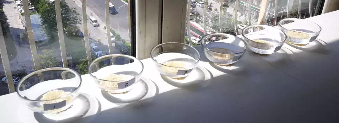 好吃的糙米饭推荐有味道,最好吃的糙米饭