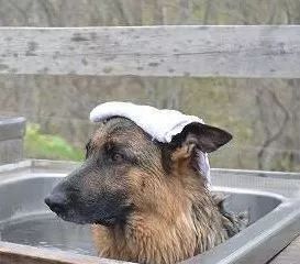 睡觉头发乱得像鸡窝一样,睡觉醒来头发乱