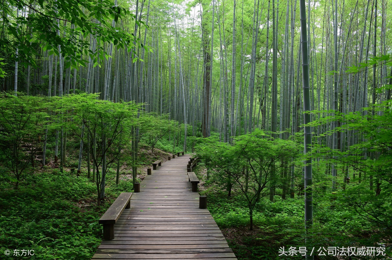 股权激励方案与合伙协议,股权激励回购协议