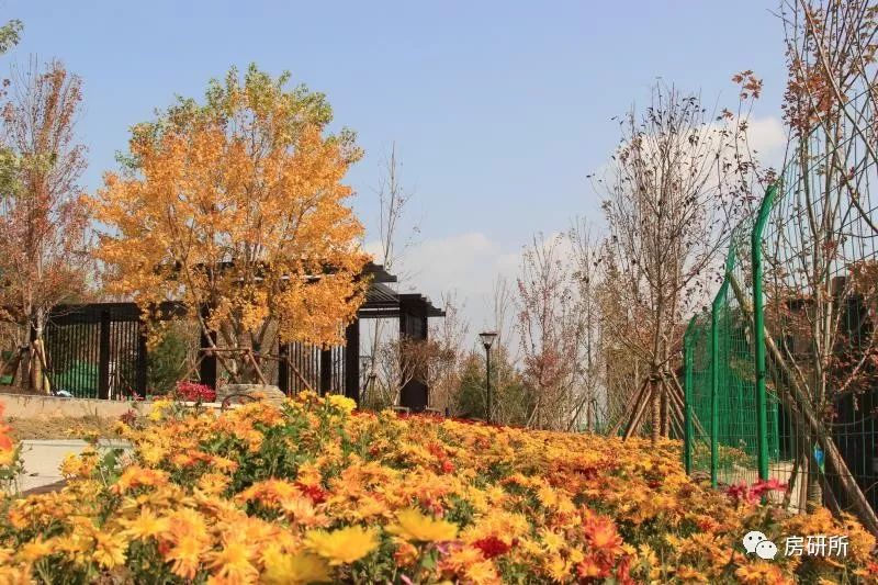 亿元级半山公园爆发“枪战”西山艺境火热“吃鸡”