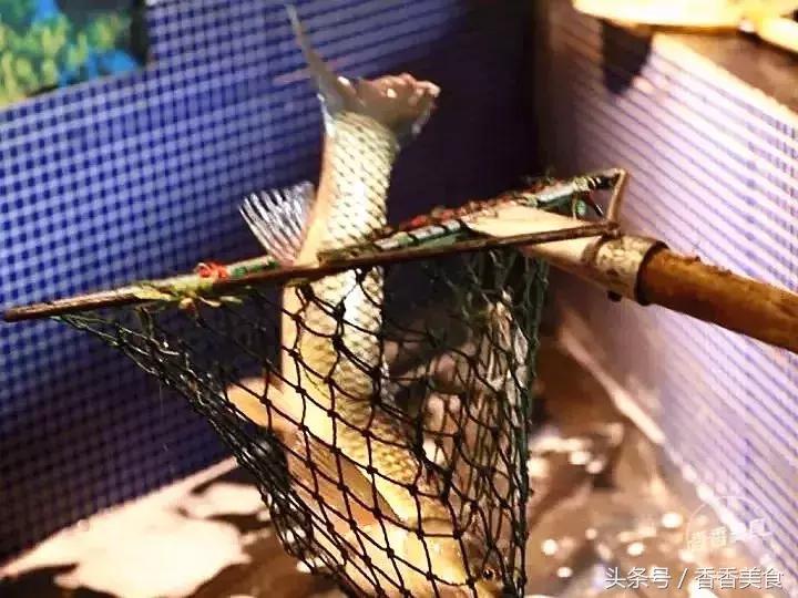 去拔草心仪已久的美食,这次采野菜我们的收获有什么