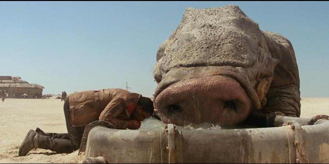 星球大战7原力觉醒免费完整版,星球大战7原力觉醒成本