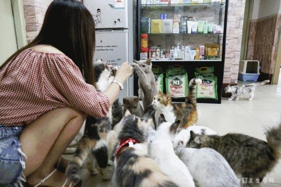 喂！妖妖灵吗？韶关这条巷子内有人聚众吸猫！已经有人沦陷了……