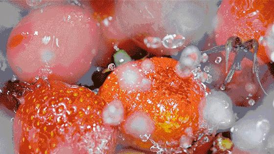 日本美白丸什么时间吃效果最有效,日本pola美白丸有效果吗