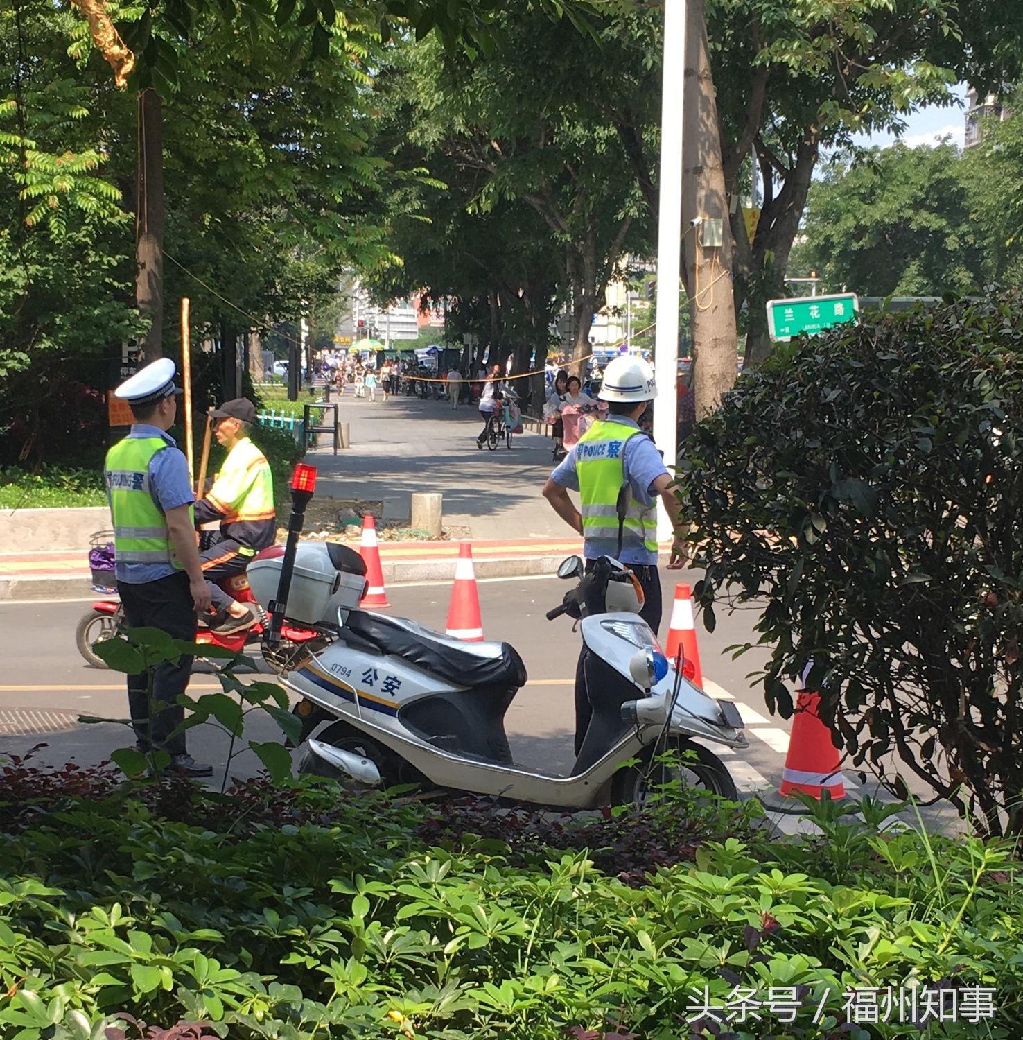 上海黄浦江防汛应急演练,上海防汛抢险通道