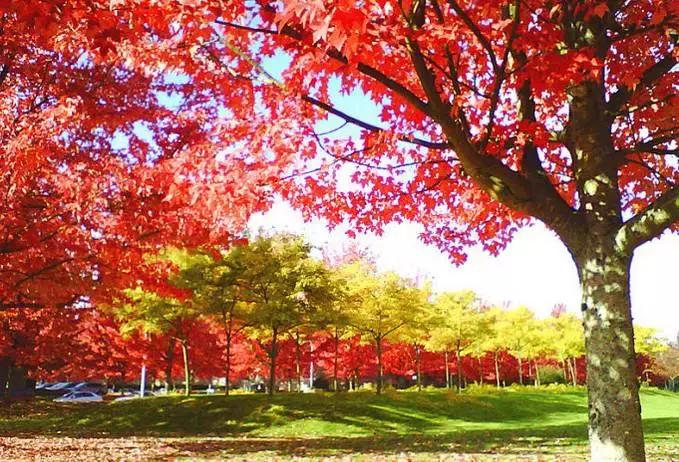 涓嶈缇℃厱鍑哄幓鏃呮父鐨勪汉,涓嶈缇℃厱鍑哄浗鏃呮父