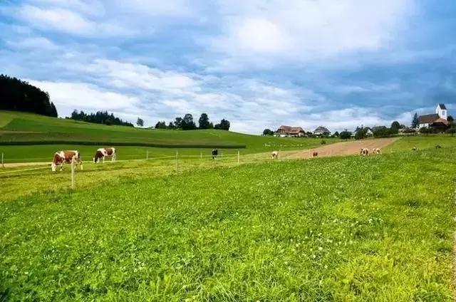 涓嶈缇℃厱鍑哄幓鏃呮父鐨勪汉,涓嶈缇℃厱鍑哄浗鏃呮父
