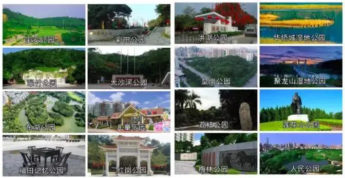 今天深圳有什么新的消息吗,深圳城市改名叫什么