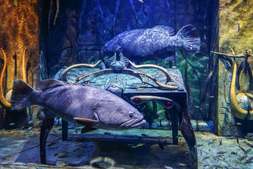 迪拜10大奢华酒店价格,迪拜最贵的酒店780平多少钱一宿