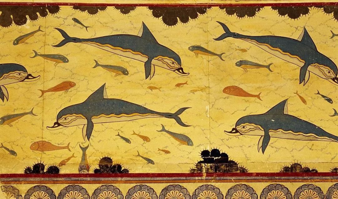 鸟和人类基因相似度多少,鸟和猫的智商哪个高