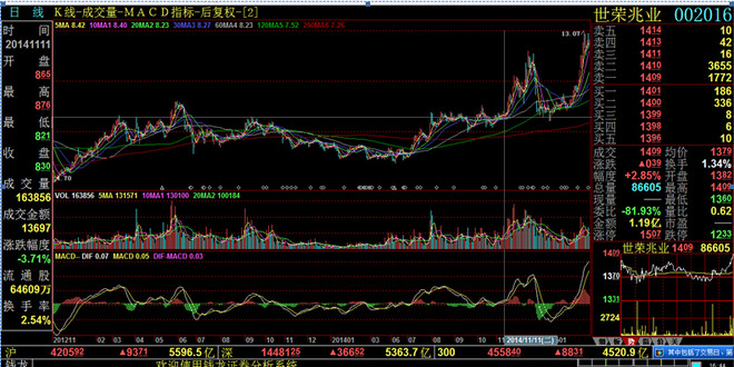 散户生存之道完整版,中国散户的生存之道