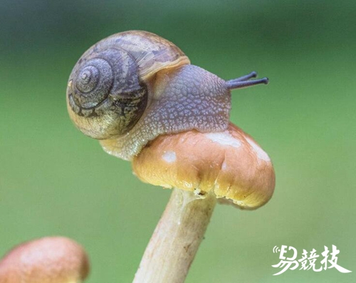 dota2最新地图解析,dota2地图玉海之渊