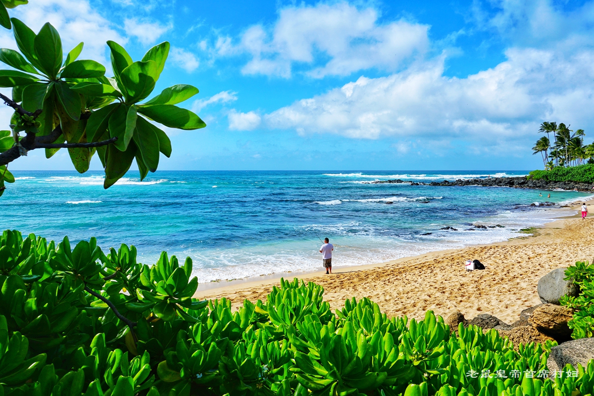夏威夷最独特的沙滩,夏威夷最美海滩排行榜前十名