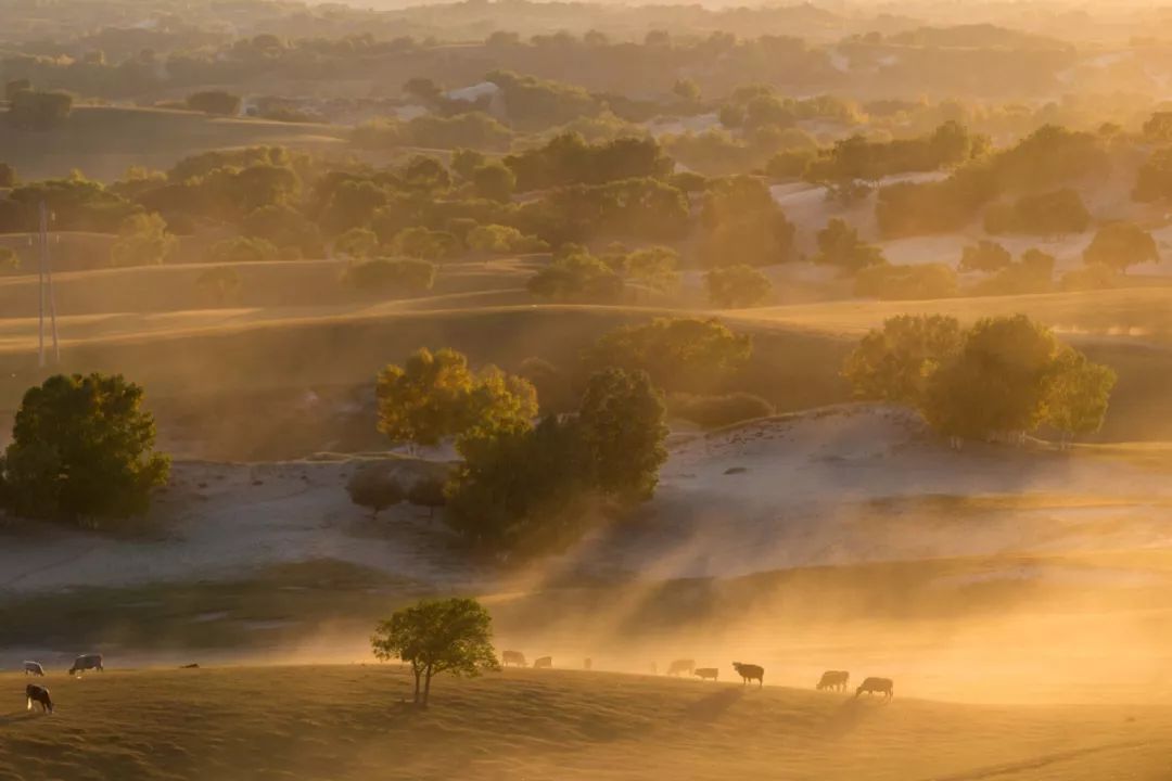 绱㈠凹鍏ラ棬鐩告満鎺ㄨ崘,绱㈠凹鍗曞弽鐩告満鍏ラ棬鏁欑▼