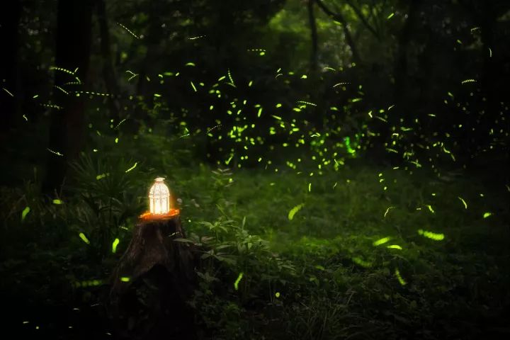 绱㈠凹榛戝崱7鐩告満鍏ラ棬鏁欑▼,绱㈠凹zv-1vlog鐩告満鍏ラ棬