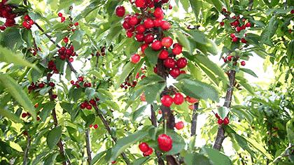 孟津周边一日游的绝佳去处,孟津秋季游必去的地方