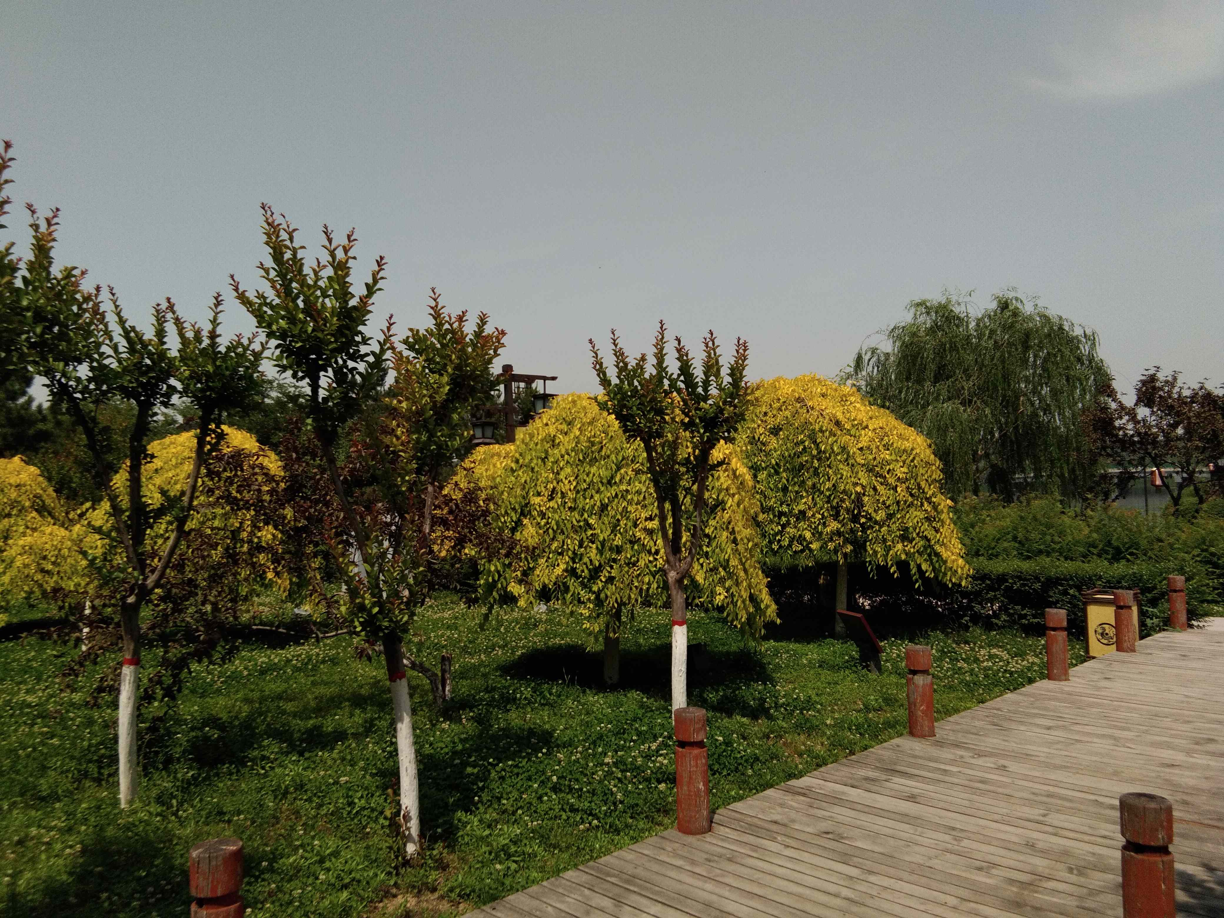 脚踏汉城湖公园全程!感受汉武辉煌!