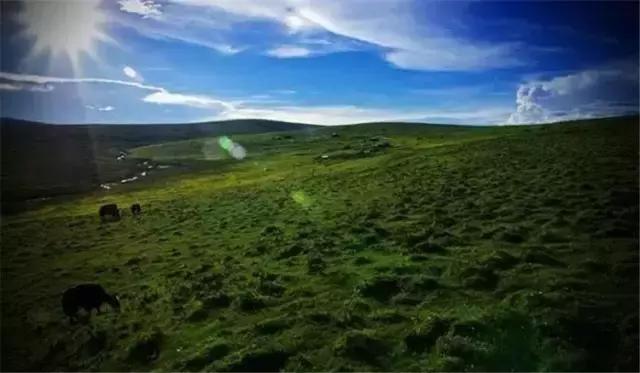 端午甘孜锅庄晚会哪些地方有,甘孜避暑三日游最佳攻略