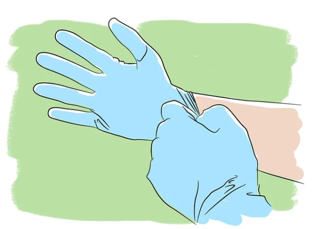 「每日一答」如何疏通狗狗的肛门腺？｜夏日篇