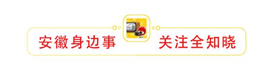 2020合肥中考成绩698,合肥中考今日查分