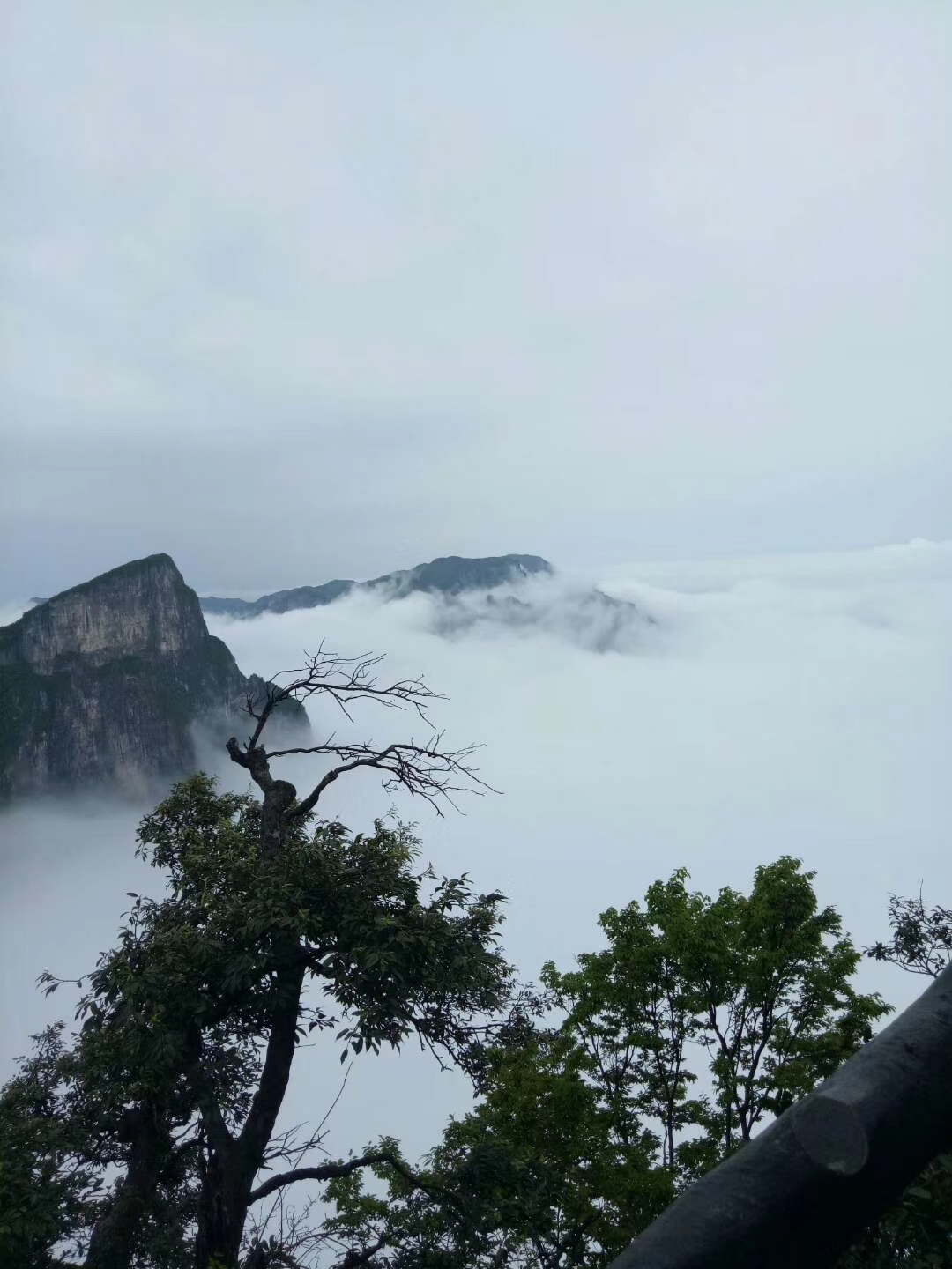 香港人组团游张家界,姐妹相约张家界三日游