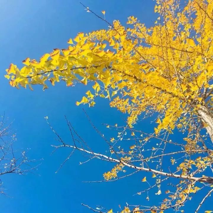 长期戴玉的人好不好,女性长期戴玉