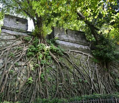 广州越秀公园旅游景区攻略,广州越秀公园门票价格