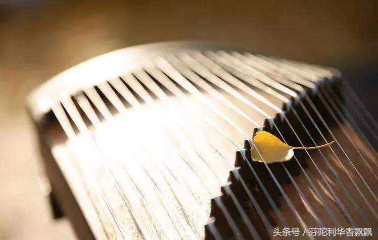 百病生于气，止于音（健康方略，闲时看看）