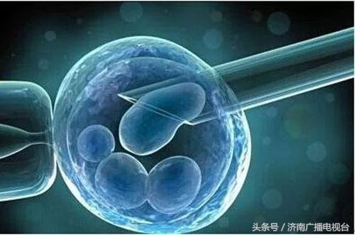 徐静蕾冻卵是哪个医院,徐静蕾冻卵的危害