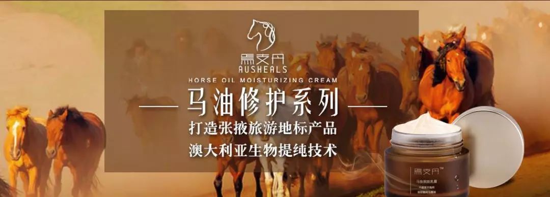 甘肃张掖军马场旅游 (张掖最好的军马场)