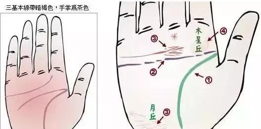 手诊了解一个人的性格和健康,十个最简单的手诊图