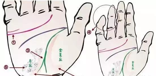 手诊了解一个人的性格和健康,十个最简单的手诊图