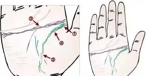 手诊了解一个人的性格和健康,十个最简单的手诊图