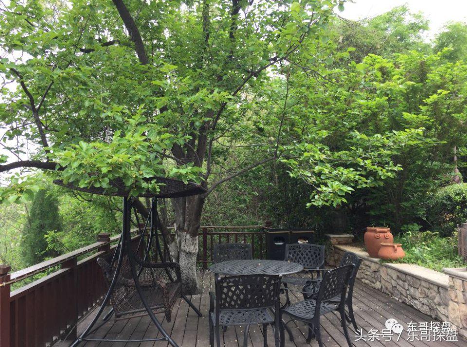 郑州的欧洲小镇,郑州富人的真实生活