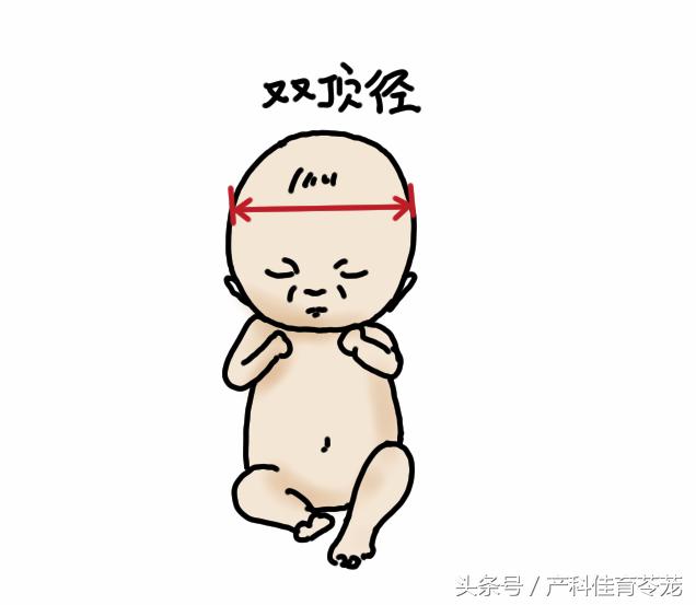 b超的3组数字代表什么,b超图片上的数字