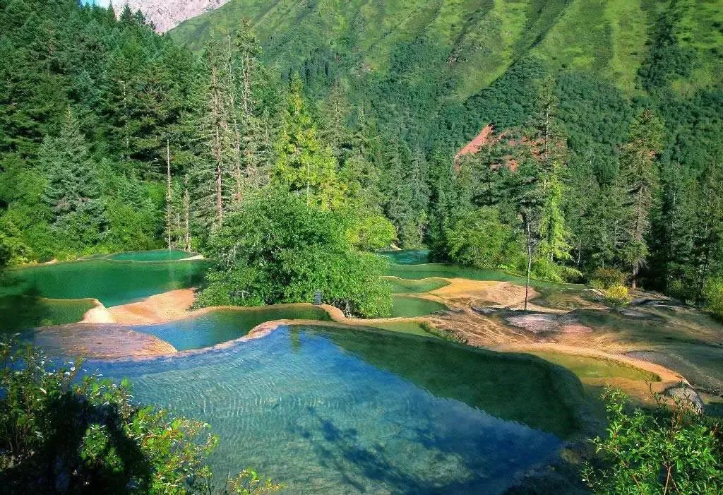 四川青城山景区免票,四川对浙江省免票的旅游景区