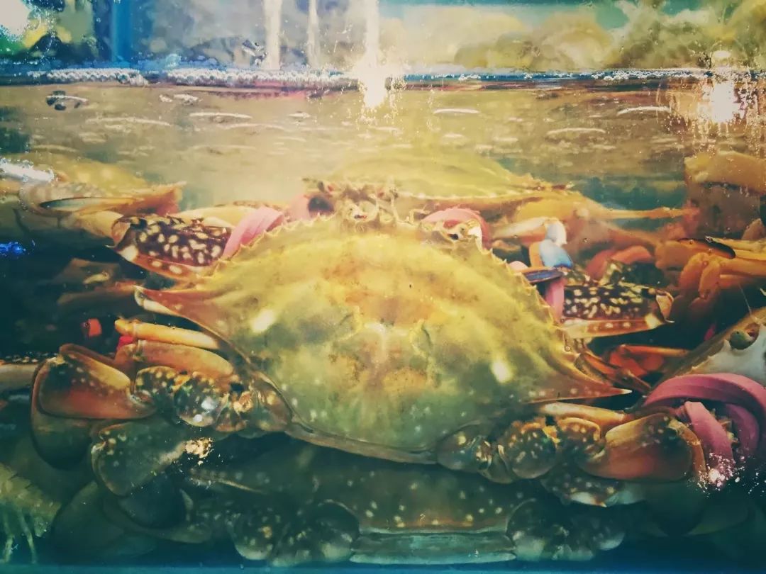 7月1日起，在北京想买菜就得这样了……！大变样！