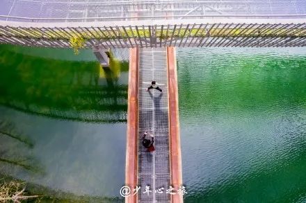 福州2022年5月赏花攻略,福州春季赏花胜地