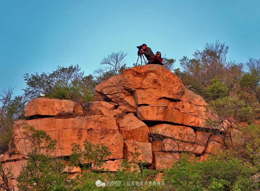 周总理关注的“辽西绿岛”已是天然氧吧