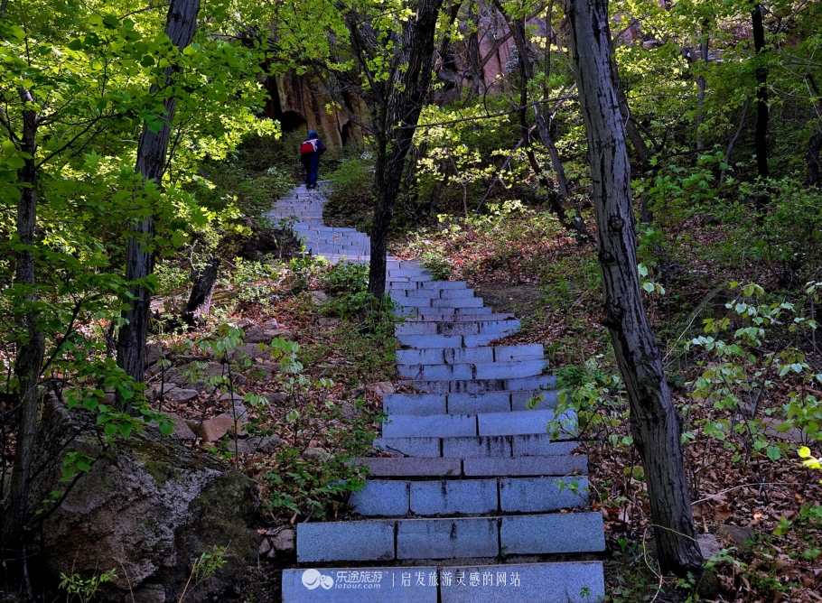 周总理关注的“辽西绿岛”已是天然氧吧