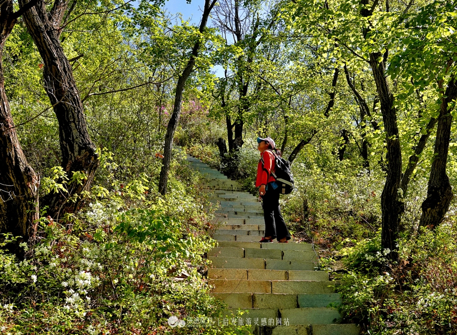 周总理关注的“辽西绿岛”已是天然氧吧