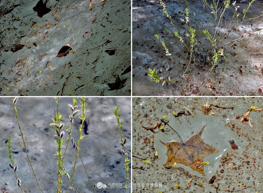 周总理关注的“辽西绿岛”已是天然氧吧