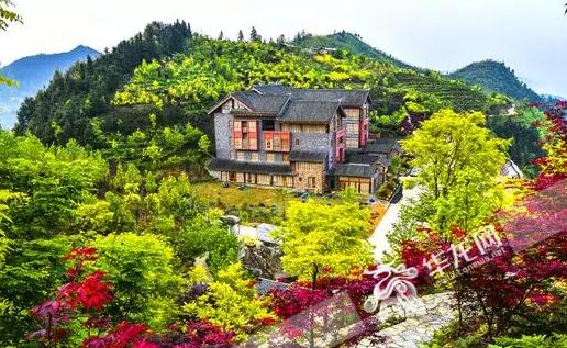 巴南周边民宿住宿三天两夜,巴南天坪山云林间民宿